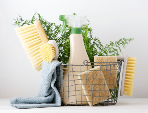 A Guide to Green Cleaning: Nurturing Your Home and the Environment