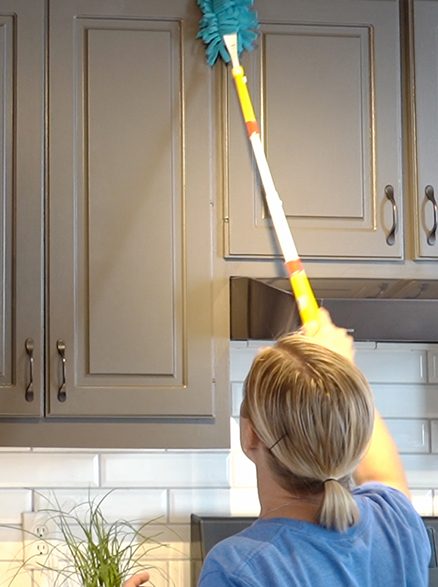 Female Cleaner, Cleaning the Shelf